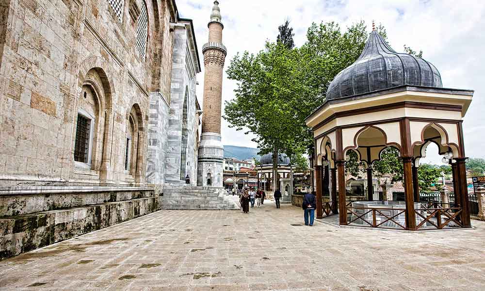 Bursa